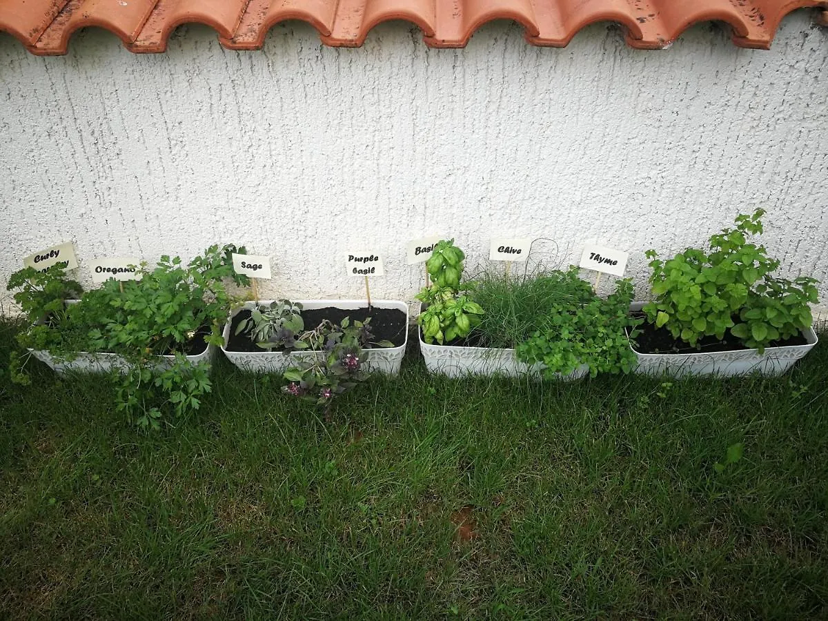 Apartment Viti With Garden And Barbecue فونتانا 0*,